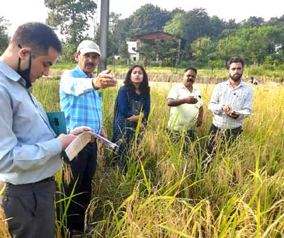 Pradhan Mantri Fasal Bima Yojana: Inspection of harvesting experiment conducted by CDO Dehradun in Revenue Village Bhopal Pani Grant of Dehradun