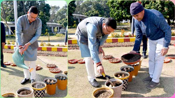 Chief Minister Dhami planted 13 species of tulips