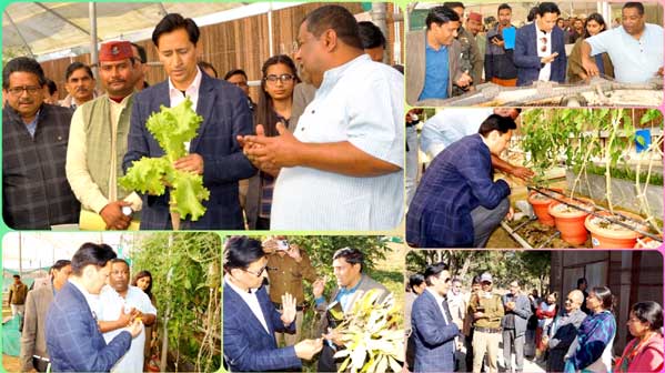 hydroponic polyhouse of Uttarakhand located in Kotabagh area Noda