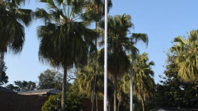 Chief Minister Pushkar Singh Dhami hoisted the national flag at Chief Minister's residence on the occasion of Republic Day