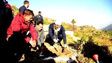 Chief Minister Dhami went on an early morning excursion after resting the night at home stay in Rawat village.