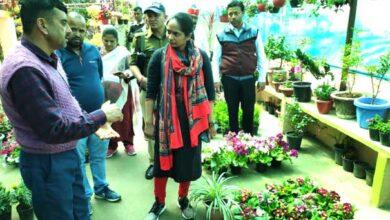 flower nursery run by Chandra Ballabh Kapri at Patal Pokhri