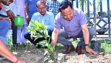 District Magistrate Dhiraj Singh Garbyal also planted saplings in the premises of EVM and VVPAT warehouse on the occasion of World Environment Day.