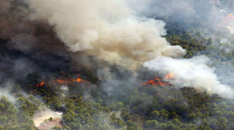 धधकने लगे जंगल, बिड़ला क्षेत्र में भीषण आग