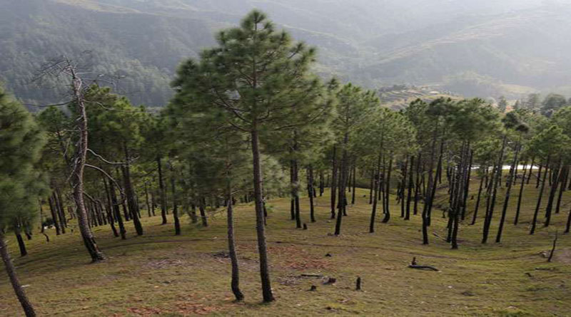 बजट: पर्यावरणीय चुनौतियों से निपटने को भी तवज्जो
