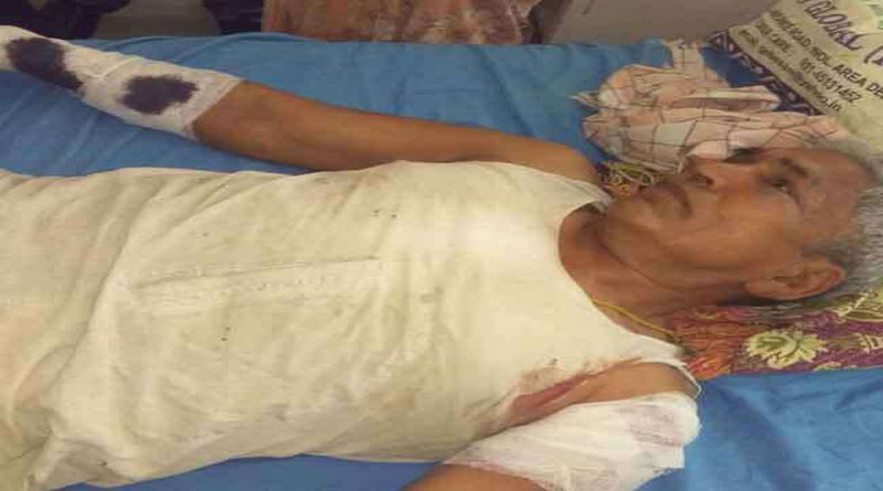 खेत में काम कर रहे वृद्ध को बाघ ने हमला कर किया घायल