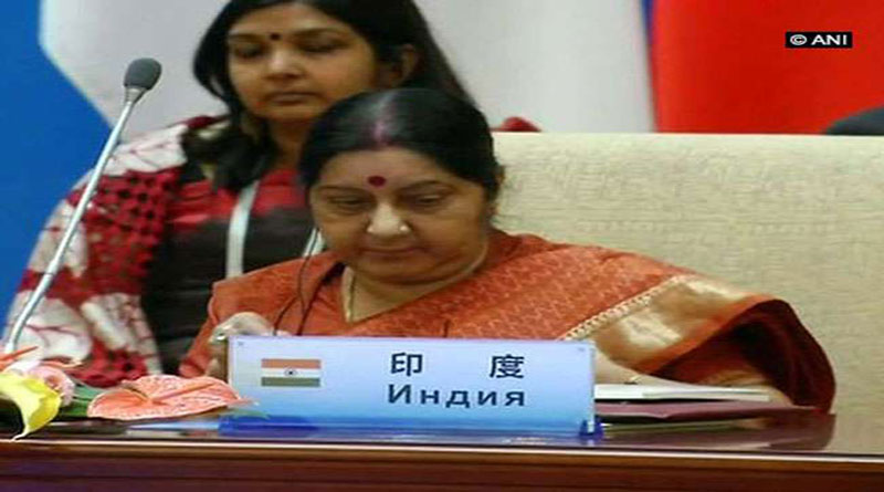 SCO बैठक में विदेश मंत्री, कहा- मूल मानवाधिकारों का दुश्‍मन है आतंकवाद