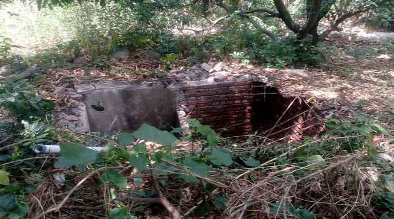 सीवर टैंक में गिरा हाथी, ग्रामीणों में दहशत; मशक्कत के बाद खुद निकला बाहर