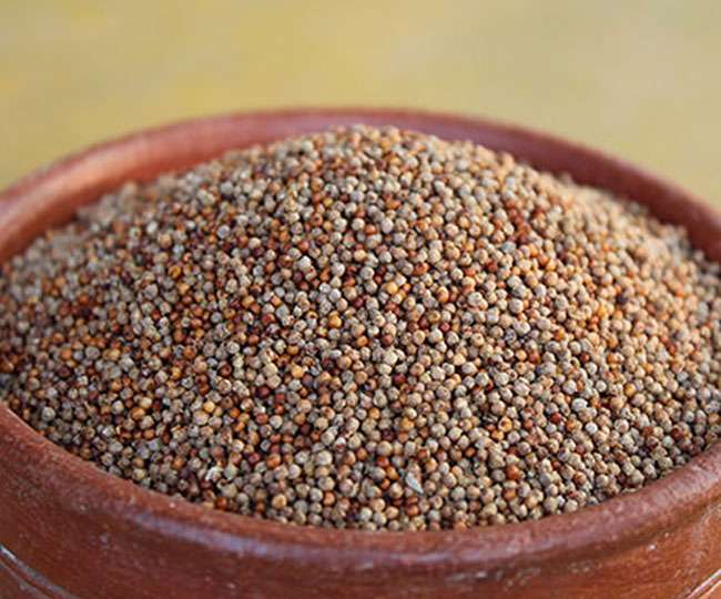 सेहत का राज: पौष्टिकता का खजाना है मंडुवा, जानिए इसके गुणकारी लाभ