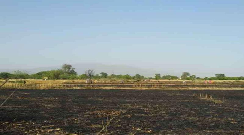 विकासनगर में आग लगने से 40 बीघा गेहूं की फसल हुई खाक विकासनगर में आग लगने से 40 बीघा गेहूं की फसल हुई खाक