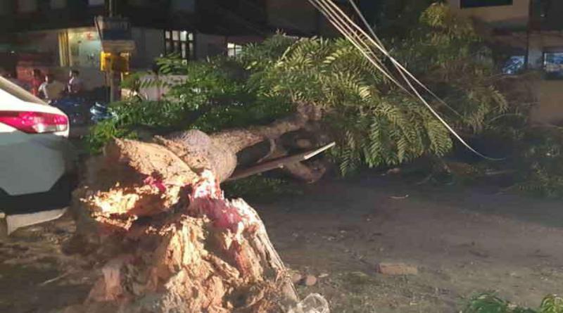 उत्तराखंड: बदरीनाथ में बर्फबारी, दून में धूल भरी आंधी; मौसम विभाग ने दी चेतावनी