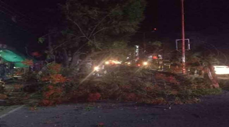 अंधड़ से अंधेरे में डूबा दून, पानी की आपूर्ति ठप; पेड़ गिरने से किसान की मौत