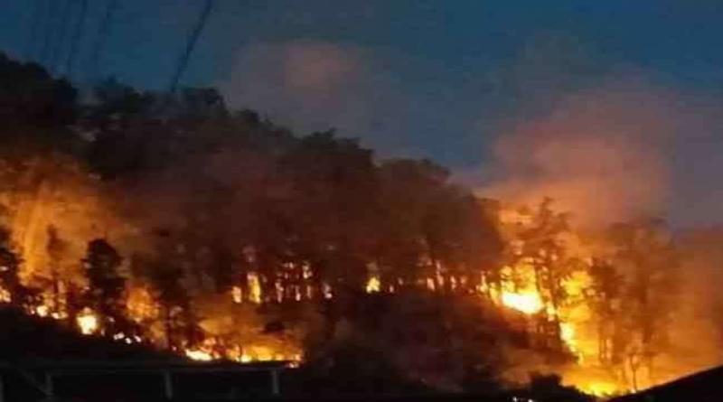 उत्‍तराखंड में जंगल की आग हुई विकराल, हाई अलर्ट जारी