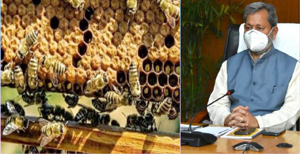 मुख्यमंत्री तीरथ सिंह रावत ने अन्तरराष्ट्रीय मौनपालन दिवस पर प्रदेशवासियों एवं मौनपालकों को दी शुभकामनायें