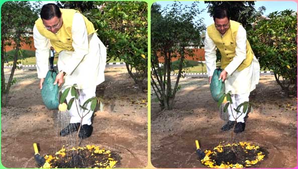 Buransh Tree Plantation by Chief Minister Pushkar Singh Dhami