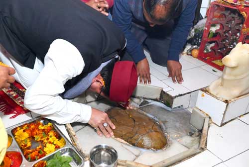 Chief Minister Dhami offered prayers at Vankhandi Mahadev Temple