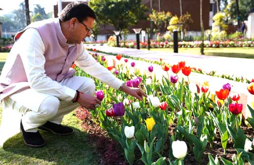 Chief Minister Dhami inspected the Tulip Garden located in the housing complex