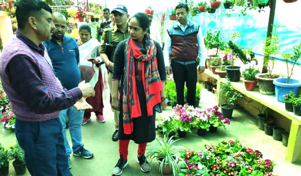 flower nursery run by Chandra Ballabh Kapri at Patal Pokhri