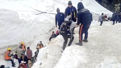 repairing arrangements for darshan in Shri Kedarnath Dham.