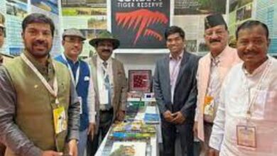 वाइल्ड लाइफ इंस्टीट्यूट ऑफ इंडिया ने बाघों की संख्या की जाँच पड़ताल की