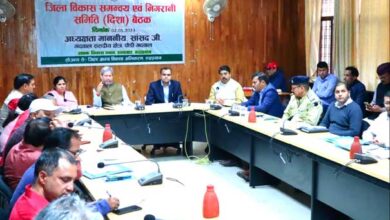 District Development Coordination and Monitoring Committee (Disha)