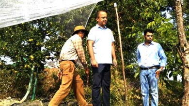 Secretary Personnel and Vigilance Shailesh Bagauli did a field inspection of the apple orchard of Manoj Khadayat, a farmer of Sintholi village.