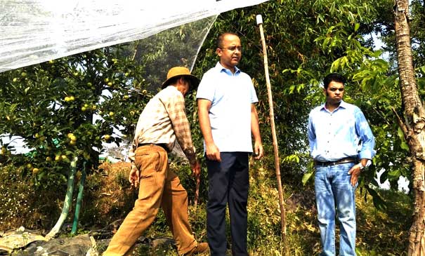 Secretary Personnel and Vigilance Shailesh Bagauli did a field inspection of the apple orchard of Manoj Khadayat, a farmer of Sintholi village.