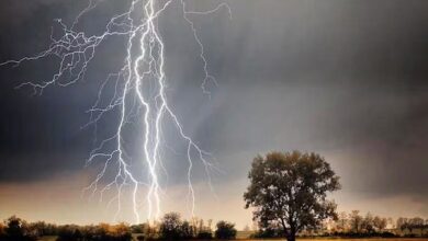 मॉनसून के साथ आसमान से बरसने लगी मौतें, तीन दिन में 20 की गई जान