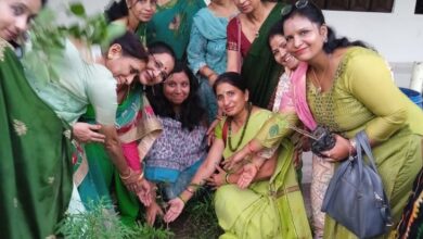 Harela festival-plantation was done by the women's wing of the International Vaishya Mahasammelan