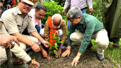 Plantation of fruit trees done by Uttarakhand Biodiversity Board on the occasion of Harela festival