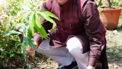मुख्यमंत्री धामी ने हरेला पर्व के अवसर पर मुख्यमंत्री आवास परिसर में किया वृक्षारोपण 