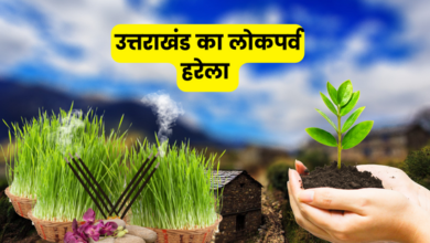 आज प्रदेशभर में मनाया जा रहा हरियाली, शांति और समृद्धि का प्रतीक हरेला पर्व, घर-घर में पूजन के बाद किया जाएगा पौधारोपण 