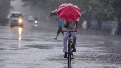 प्रदेश में अगले चार दिन तक भारी बारिश होने की आशंका, इन तीन जिलों में हाई अलर्ट जारी