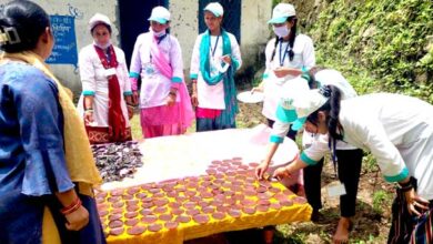 The women of Rudraprayag's Bajun village learned to make pickles including scorpion grass (Kandali) and papad of Maduve and linguden etc.