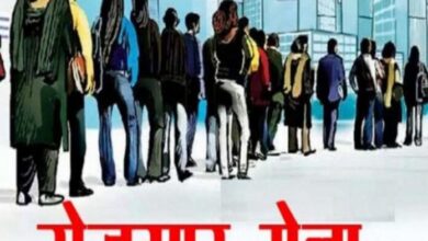 प्रशिक्षित युवाओं के लिए आयोजित किया जाएगा आयुष रोजगार मेला 