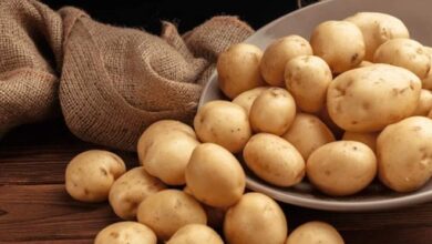 एक महीने के लिए आलू खाना बंद कर दें, देखिए इसके बाद शरीर पर कैसा होगा असर ?