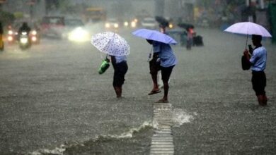 उत्तराखंड के अधिकतर हिस्सों में बारिश होने की संभावना, दो जिलों को छोड़कर अन्य जिलों में अलर्ट जारी 