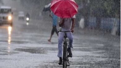 छ: से आठ सितंबर तक प्रदेश के अधिकतर इलाकों में बारिश की संभावना