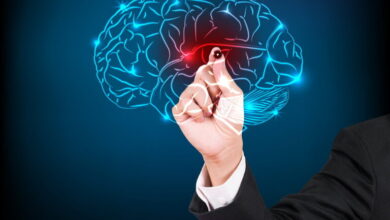 अगर आप भी चाहते हैं कि आपका दिमाग तेज हो तो आज से खाना शुरू कर दे ये चीजें