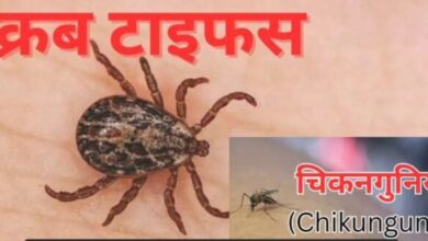 डेंगू के साथ–साथ अब आने लगे चिकनगुनिया व स्क्रब टाइफस के मरीज, जानिए क्या हैं संक्रमण के लक्षण ?