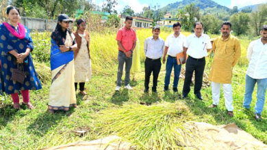 District Magistrate Reena Joshi inspected the crop cutting experimen