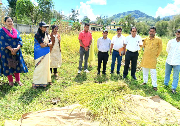 District Magistrate Reena Joshi inspected the crop cutting experimen