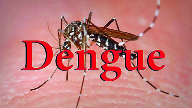 डेंगू मरीजों के उपचार एवं जाँच में लापरवाही बरतने पर की जाए कड़ी कार्यवाही : जिलाधिकारी