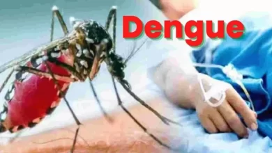 डेंगू की रोकथाम के लिए प्रदेश सरकार ने तैयार किया नया प्लान, जानिए 
