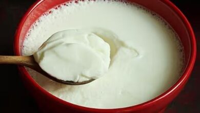 क्या रोज-रोज दही खाना है नुकसानदायक, जानिए क्या कहते हैं एक्सपर्ट्स