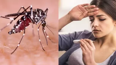 उत्तराखंड में नहीं थम रहा डेंगू का कहर, हरिद्वार जनपद के अस्पतालों में लगातार बढ़ रही मरीजों की संख्या 