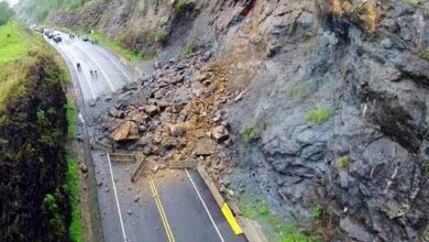 ग्रीन तकनीकी से 100 संवेदनशील भूस्खलन क्षेत्रों का उपचार होगा शुरू