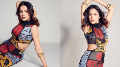 शहनाज गिल ने रिवीलिंग बॉडीकॉन ड्रेस में कराया बोल्ड फोटोशूट, हॉटनेस देख यूजर्स के उड़े होश
