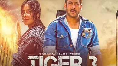 धाँसू एक्शन से भरपूर होगा सलमान-कैटरीना का टाइगर 3 का ट्रेलर, 16 अक्टूबर को होगा रिलीज