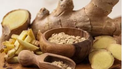 स्वास्थ्य के लिए है कौन सा अदरक होता है अच्छा, किसका करना चाहिए ज्यादा इस्तेमाल